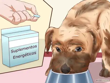 Imagen titulada Fatten_Up_a_Dog_Step_15 ES.png