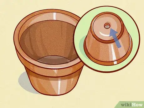 Imagen titulada Care for a Gerbera Daisy Step 1