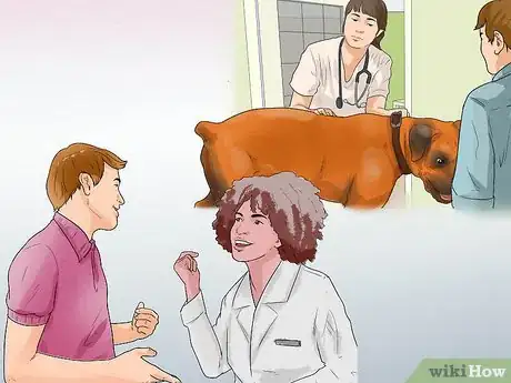 Imagen titulada Treat Mast Cell Tumors in Boxers Step 7