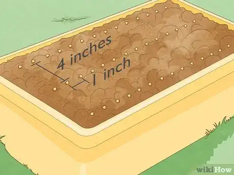 Imagen titulada Grow Baby Spinach Step 12