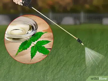 Imagen titulada Control Armyworms Step 12