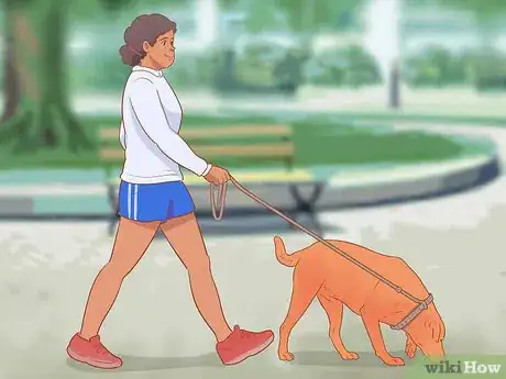 Imagen titulada Introduce a Dog to a Dog Park Step 11