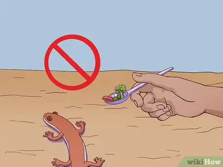 Imagen titulada Feed a Salamander Step 6
