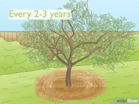 Imagen titulada Prune Citrus Trees Step 14