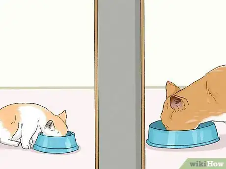 Imagen titulada Stop an Older Cat from Attacking a Kitten Step 8