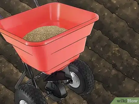 Imagen titulada Care for Burned Grass Step 5