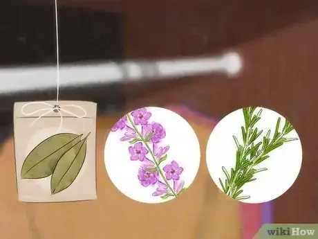 Imagen titulada Get Rid of Moths Step 11