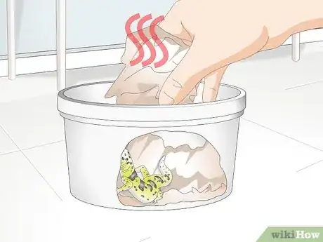 Imagen titulada Bathe a Leopard Gecko Step 9