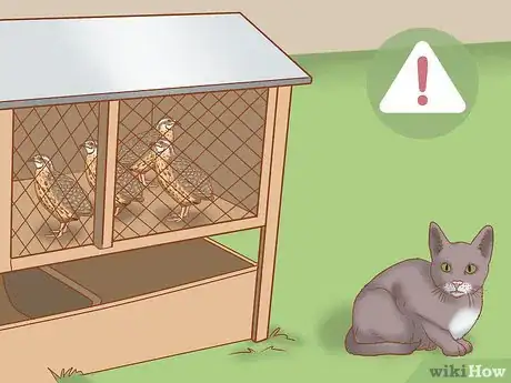 Imagen titulada Get Quails to Lay Eggs Step 5