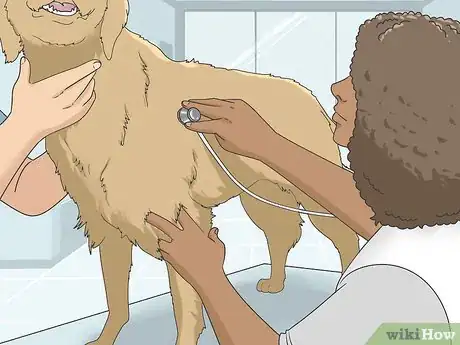 Imagen titulada Treat Giardia in Dogs Step 3