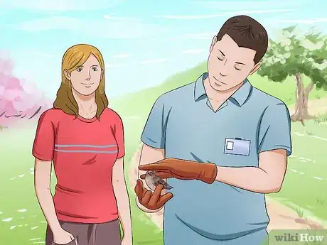 Imagen titulada Care for an Injured Wild Bird That Cannot Fly Step 16