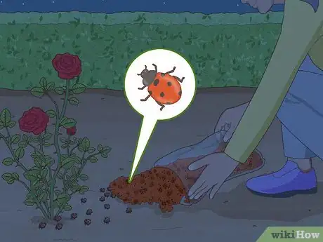Imagen titulada Get Rid of Aphids on Roses Organically Step 5