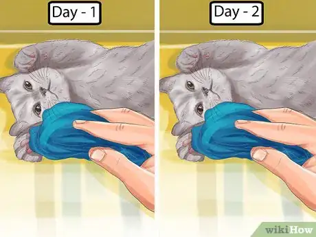 Imagen titulada Remove Debris Stuck in a Cat Paw Step 7