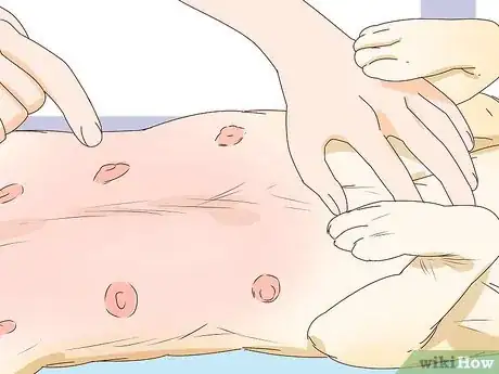 Imagen titulada Tell if a Dog Is Pregnant Step 1