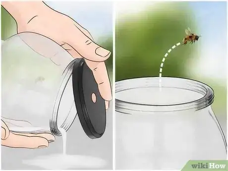 Imagen titulada Get a Bee out of the House Step 14