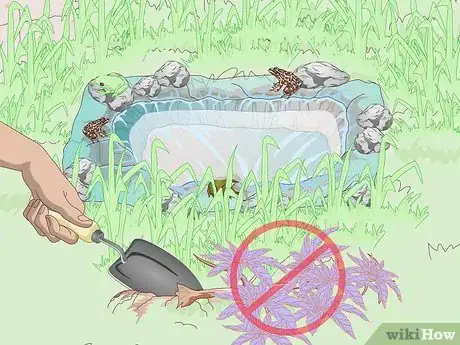 Imagen titulada Attract Frogs Step 17