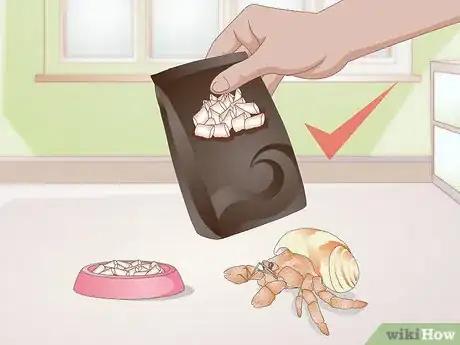 Imagen titulada Feed Hermit Crabs Step 1