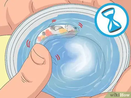 Imagen titulada Tell if Your Fish Is Dead Step 5
