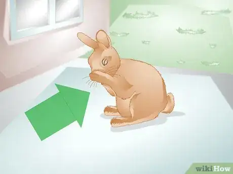 Imagen titulada Tell if Your Rabbit Is Lonely Step 1