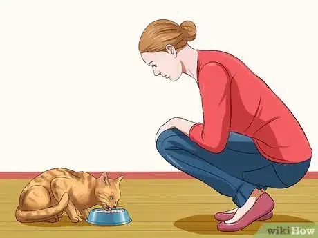 Imagen titulada Pet a High Strung Cat Step 5