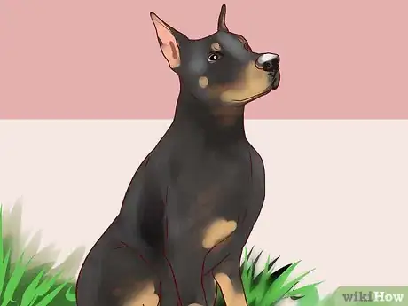 Imagen titulada Train a Guard Dog Step 3