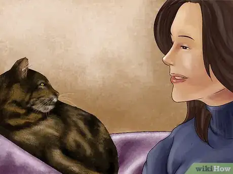 Imagen titulada Help a Cat Recover from Anesthesia Step 8