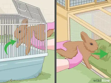 Imagen titulada Care for a New Pet Rabbit Step 5