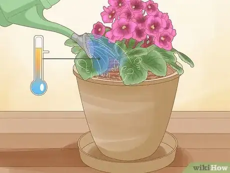 Imagen titulada Repot African Violets Step 12