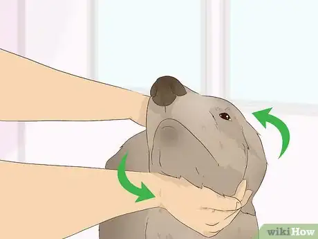 Imagen titulada Make an Oatmeal Bath for a Dog Step 9
