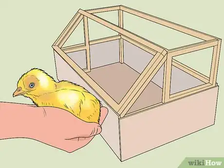 Imagen titulada Hatch Turkey Eggs in an Incubator Step 12