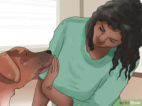 Imagen titulada Get Dogs to Mate Step 24