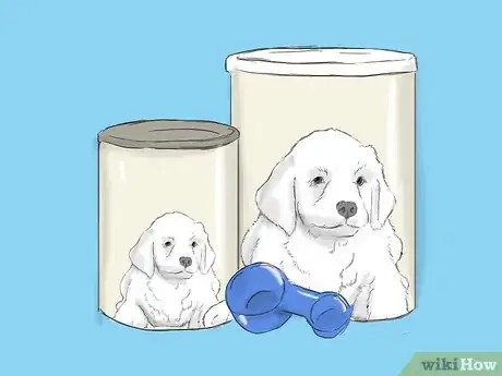 Imagen titulada Care for a Pregnant Chihuahua Step 7