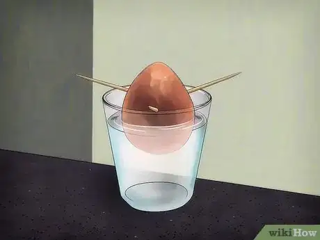 Imagen titulada Grow an Avocado Tree Step 4