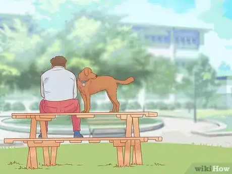 Imagen titulada Introduce a Dog to a Dog Park Step 10