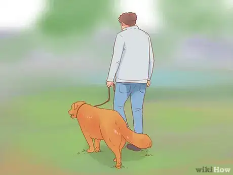 Imagen titulada Introduce a Dog to a Dog Park Step 20
