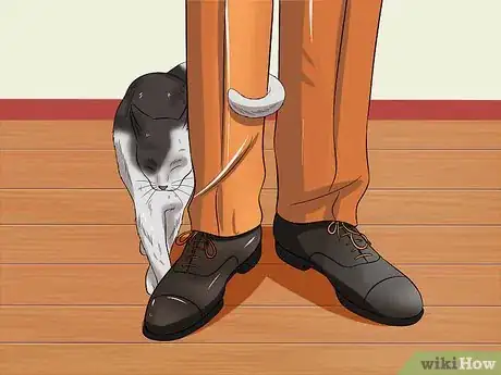 Imagen titulada Pet a High Strung Cat Step 9