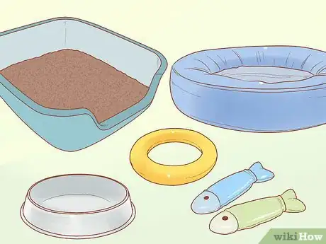 Imagen titulada Pick Up a Kitten Step 10