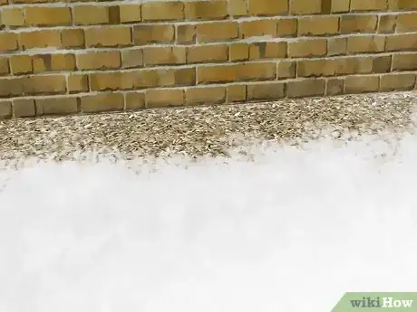 Imagen titulada Get Rid of Silverfish Step 8