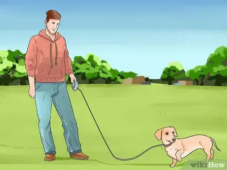 Imagen titulada Stop Aggressive Behavior in Dogs Step 10