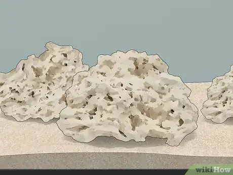 Imagen titulada Start a Saltwater Aquarium Step 24