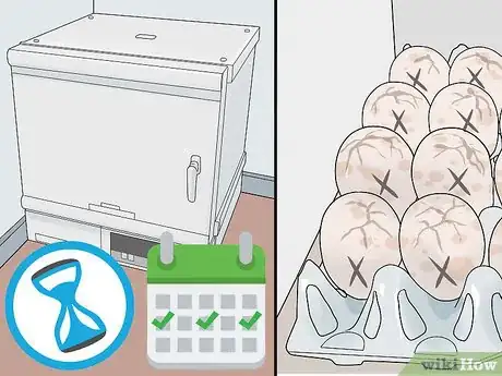 Imagen titulada Hatch Turkey Eggs in an Incubator Step 11