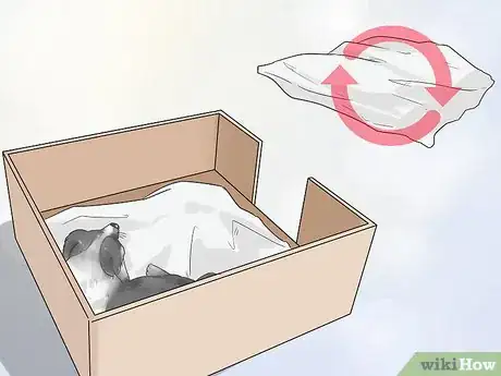 Imagen titulada Manage Postpartum Shedding in Dogs Step 1