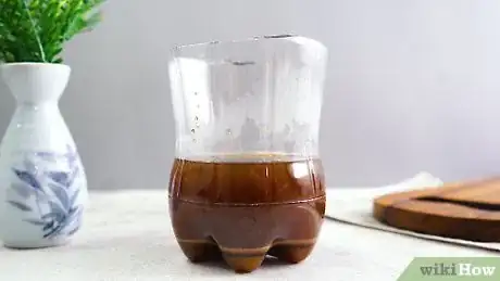 Imagen titulada Make a Plastic Bottle Mosquito Trap Step 15