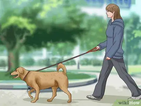 Imagen titulada Get Dogs to Stop Barking Step 15