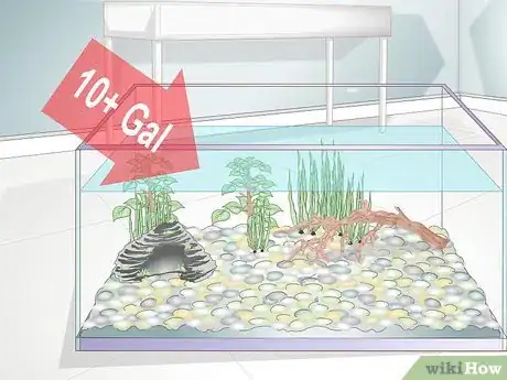 Imagen titulada Play With a Goldfish Step 13