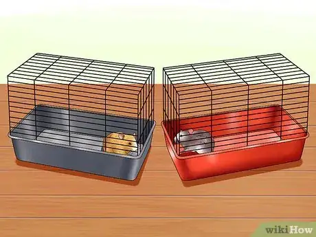 Imagen titulada Get Hamsters to Stop Fighting Step 3