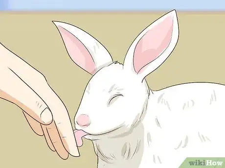 Imagen titulada Pet a Rabbit Step 9