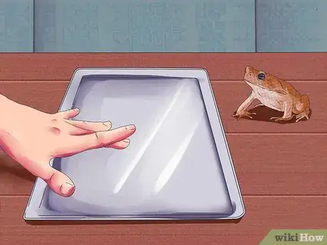 Imagen titulada Dissect a Frog Step 1