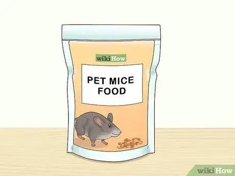 Imagen titulada Choose a Pet Mouse Step 9