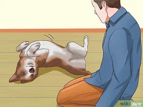 Imagen titulada Get Dogs to Stop Barking Step 16